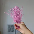 Mini haricots séchés 10g pour résine et bougies – Couleur Purple