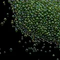 Mini perles de verre 10 à 20 g pour résine et nail art – Couleur Vert foncé