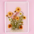 Moule plateau rectangulaire pour résine cristal – 6