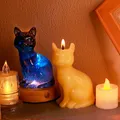 Moule silicone animal 3D pour bougies et décoration – 5