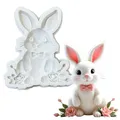 Moule silicone lapin Pâques pour gâteaux et chocolats – Couleur Rose