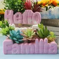 Moule silicone pot fleurs motif lettre – 5