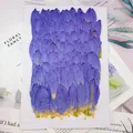 Nénuphars pressés 2 ou 12 pièces pour résine – 5