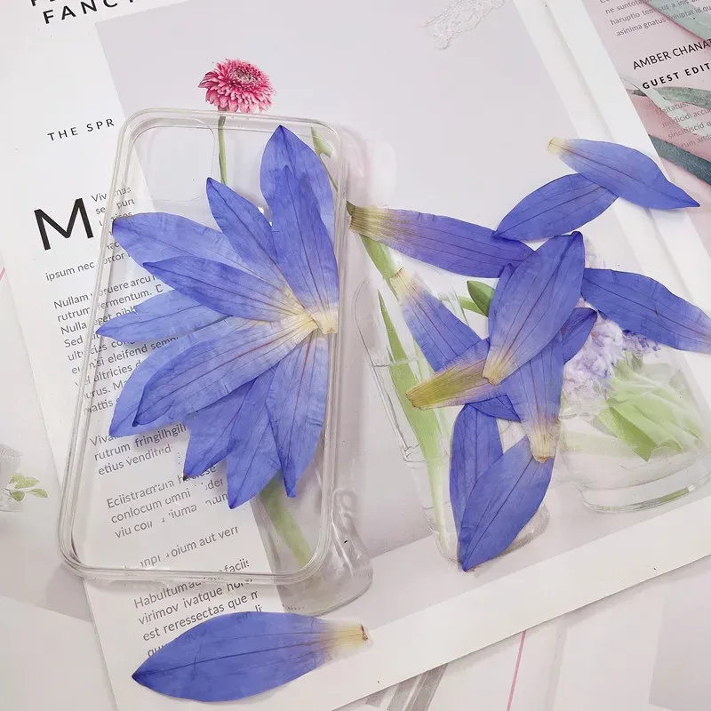 Nénuphars pressés 2 ou 12 pièces pour résine