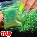 Paillettes caméléons holographiques 5g pour résine – Color FD072-08(10g)