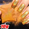 Paillettes caméléons holographiques 5g pour résine – Color FD072-13(10g)