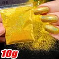 Paillettes caméléons holographiques 5g pour résine – Color FD072-14(10g)