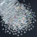 Paillettes étoile 4 branches pour remplissage résine et bijoux – Color KXX-1