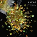 Paillettes étoile 4 branches pour remplissage résine et bijoux – Color KXX-2