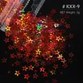 Paillettes étoile 4 branches pour remplissage résine et bijoux – Color KXX-9