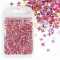 Paillettes étoile 4 branches pour remplissage résine et bijoux – Color SJX-5