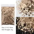 Paillettes hexagonales épaisses 50g pour résine – Couleur B0213