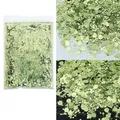 Paillettes hexagonales épaisses 50g pour résine – Couleur B0600