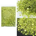 Paillettes hexagonales épaisses 50g pour résine – Couleur B0611