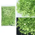 Paillettes hexagonales épaisses 50g pour résine – Couleur B0612