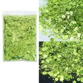 Paillettes hexagonales épaisses 50g pour résine – Couleur B0617