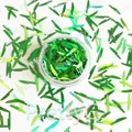Paillettes holographiques pour résine 1 boîte – 5