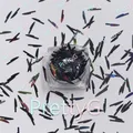 Paillettes holographiques pour résine 1 boîte – Couleur LS1000
