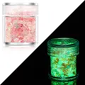 Paillettes lumineuses 24 couleurs pour résine et nail art – Couleur Color 02