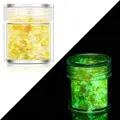 Paillettes lumineuses 24 couleurs pour résine et nail art – Couleur Color 03