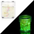 Paillettes lumineuses 24 couleurs pour résine et nail art – Couleur Color 04