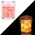 Paillettes lumineuses 24 couleurs pour résine et nail art – Couleur Color 12
