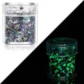 Paillettes lumineuses 24 couleurs pour résine et nail art – Couleur Color 15