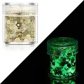 Paillettes lumineuses 24 couleurs pour résine et nail art – Couleur Color 17