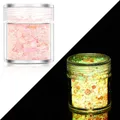 Paillettes lumineuses 24 couleurs pour résine et nail art – Couleur Color 18