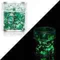 Paillettes lumineuses 24 couleurs pour résine et nail art – Couleur Color 20