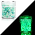 Paillettes lumineuses 24 couleurs pour résine et nail art – Couleur Color 21