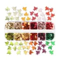 Paillettes papillon fleur de cerisier pour remplissage résine – Couleur 12FY-5