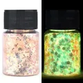 Paillettes résine 16 couleurs phosphorescentes pour décoration – Color 010