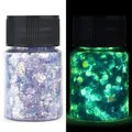 Paillettes résine 16 couleurs phosphorescentes pour décoration – Color 012