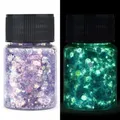 Paillettes résine 16 couleurs phosphorescentes pour décoration – Color 015