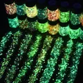 Paillettes résine 16 couleurs phosphorescentes pour décoration – 2