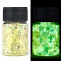 Paillettes résine 16 couleurs phosphorescentes pour décoration – Color Bleu (06)