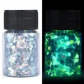 Paillettes résine 16 couleurs phosphorescentes pour décoration – Color noir (02)