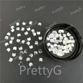 Paillettes tête de chat holographiques pour résine – Couleur LB100-G