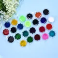 Pigment résine UV 5 ml 24 couleurs – 5
