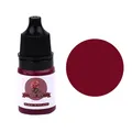 Pigment résine UV 5 ml 24 couleurs – Color Violet (09)