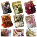 Plantes naturelles séchées pour résine et bougies – 1