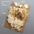Plantes naturelles séchées pour résine et bougies – 2