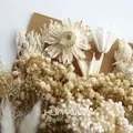 Plantes naturelles séchées pour résine et bougies – 5