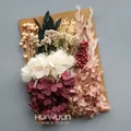 Plantes naturelles séchées pour résine et bougies – Couleur Abricot (M-36)