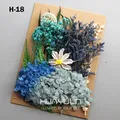 Plantes naturelles séchées pour résine et bougies – Couleur Argent (M-18)
