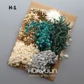 Plantes naturelles séchées pour résine et bougies – Couleur Beige (M-1)