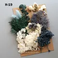 Plantes naturelles séchées pour résine et bougies – Couleur BLANC (M-19)