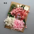 Plantes naturelles séchées pour résine et bougies – Couleur Bleu (M-3)