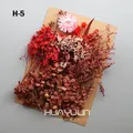 Plantes naturelles séchées pour résine et bougies – Couleur Brun (M-5)
